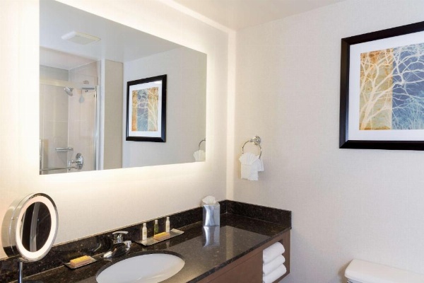 DoubleTree by Hilton Pleasant Prairie Kenosha image 14